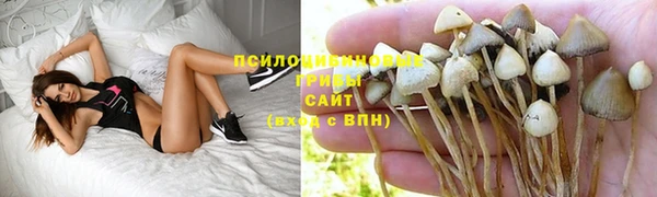 СК Покровск