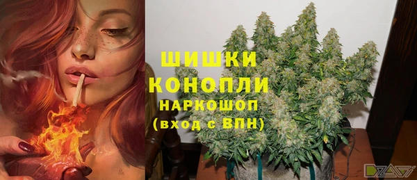 СК Покровск