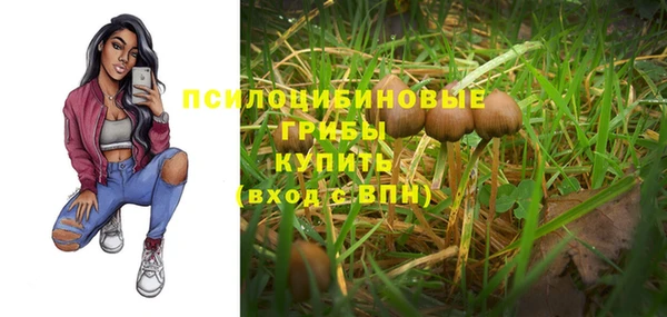 соль ск Покров