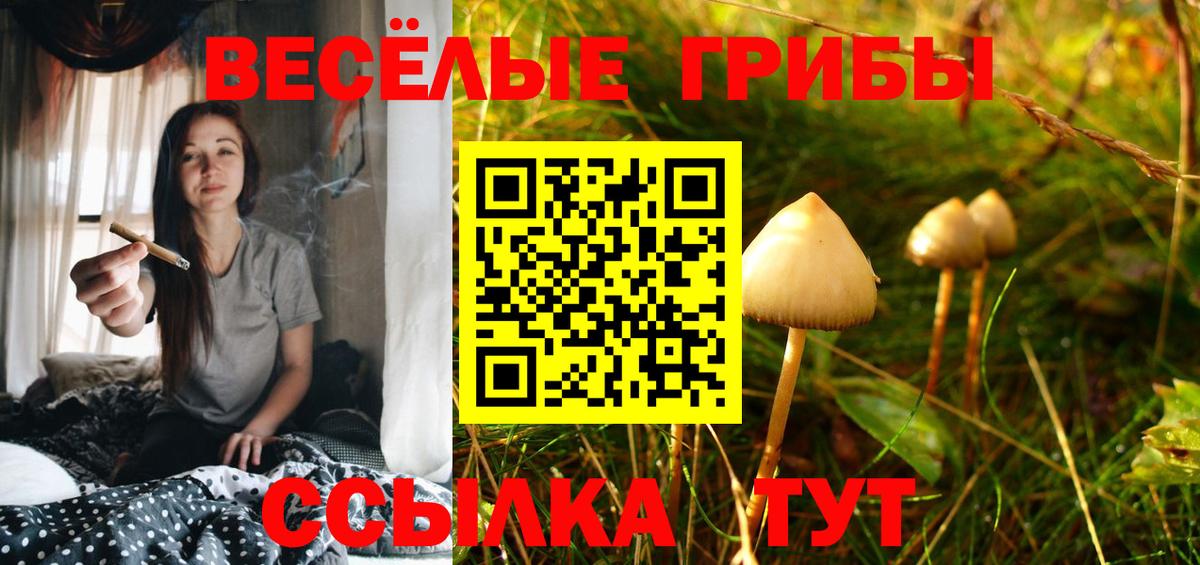 Галлюциногенные грибы мухоморы  Вход с VPN  Ахтубинск 